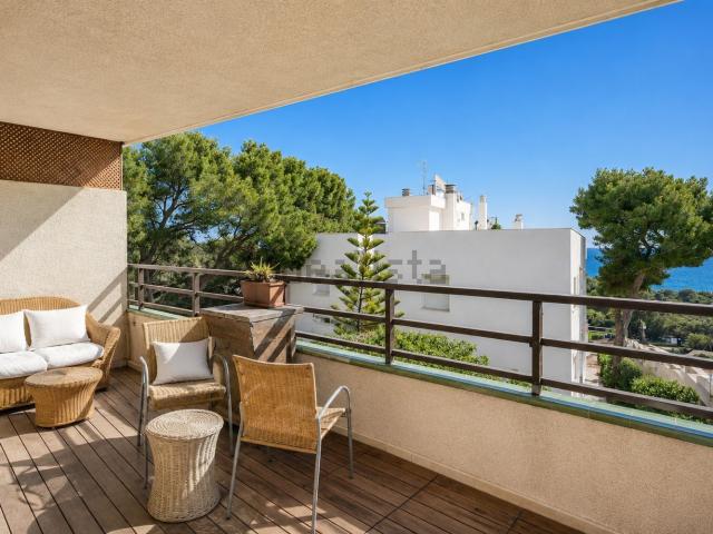 Piso, Calvià
