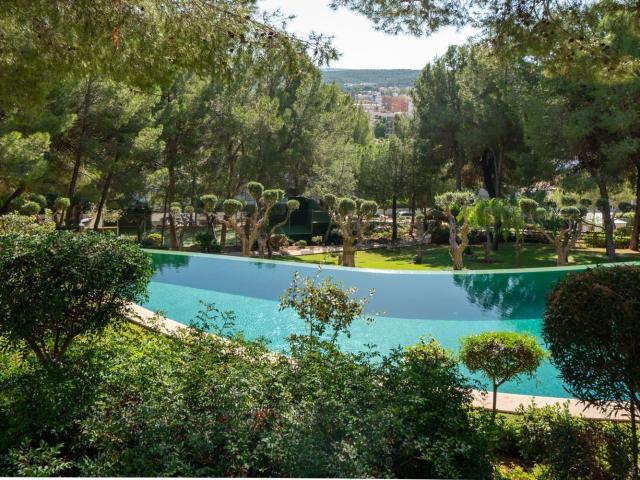Piso, Calvià