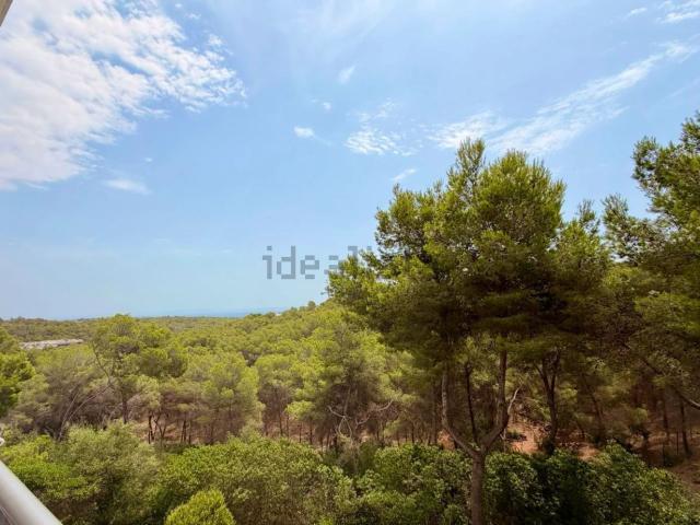 Piso, Calvià