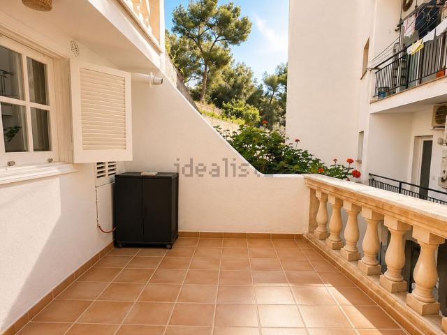 Piso, Calvià
