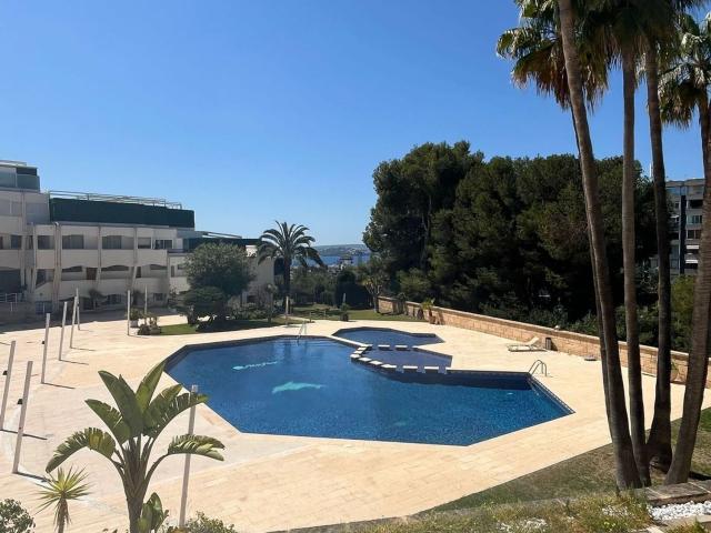 Piso, Calvià
