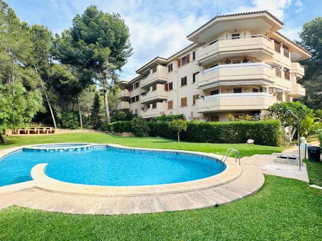 Piso, Calvià