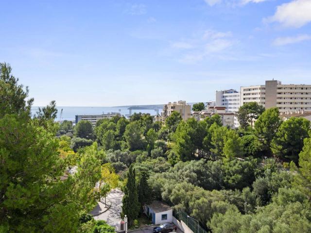Piso, Calvià