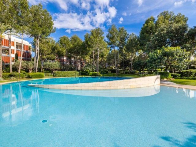 Piso, Calvià