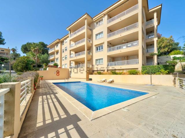 Piso, Calvià