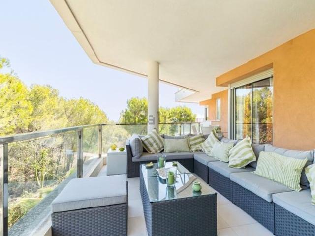 Piso, Calvià