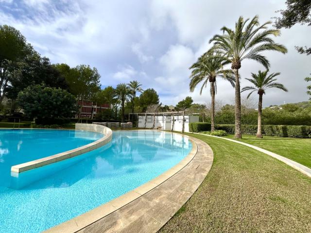 Piso, Calvià
