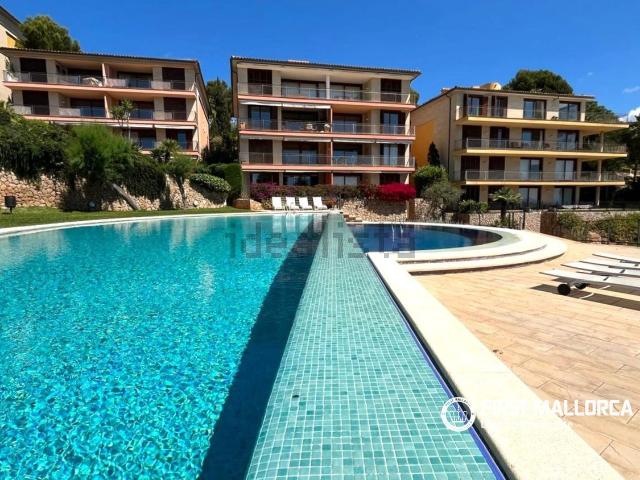 Piso, Calvià