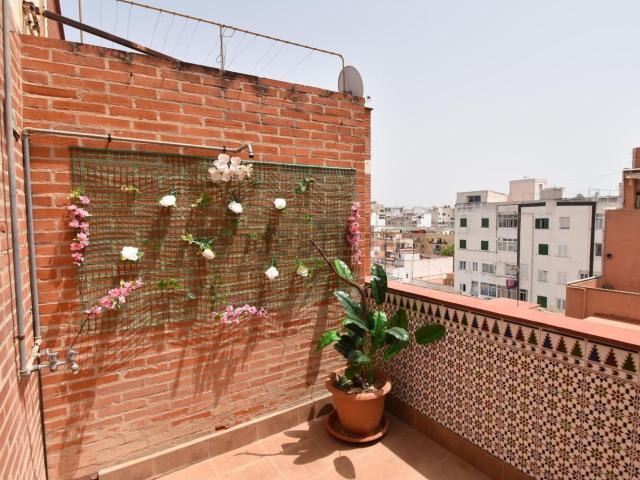 Piso, Camp d&apos En Serralta, Palma de Mallorca