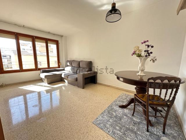 Piso, Camp Redo, Palma de Mallorca