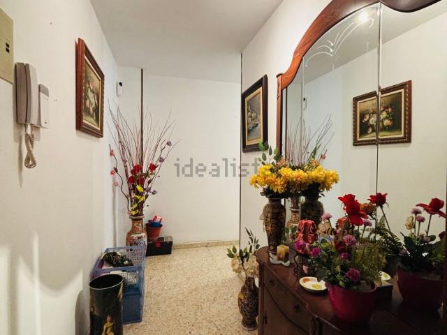 Piso, Camp Redo, Palma de Mallorca