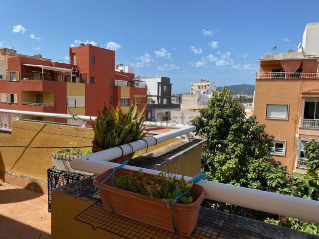 Piso, Camp Redo, Palma de Mallorca