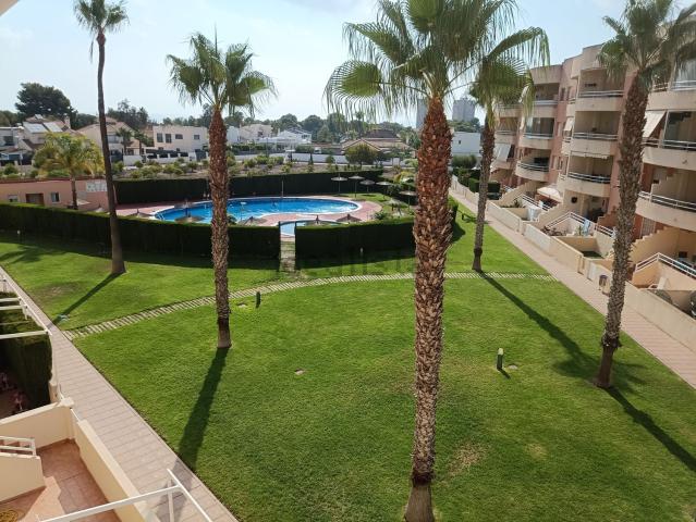 Piso, Campoamor, Orihuela