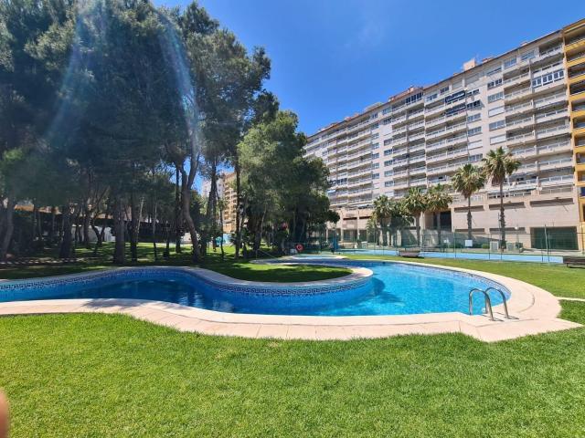 Piso, Campoamor, Orihuela