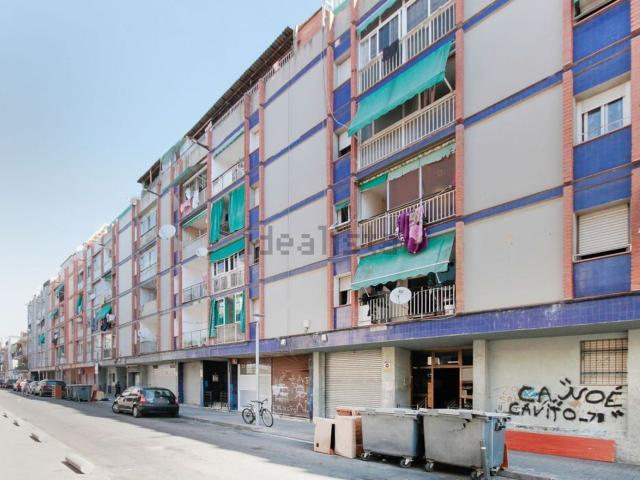Piso, Canovelles