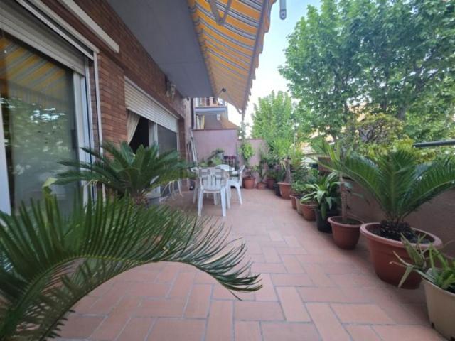 Piso, Canovelles