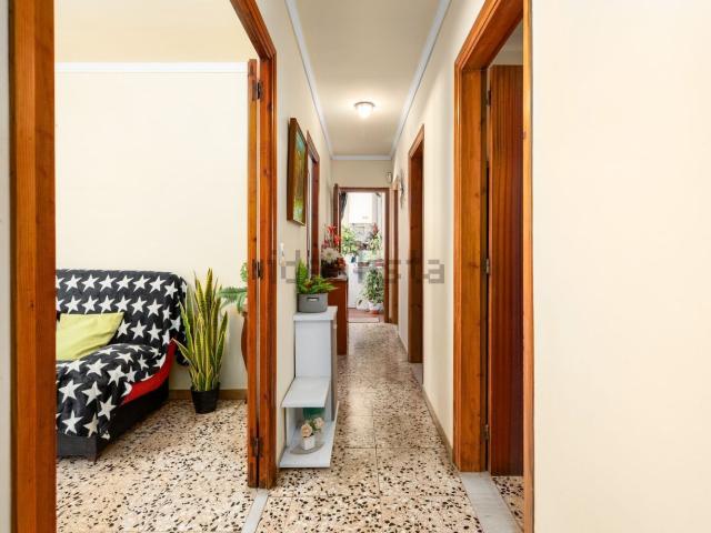 Piso, Canet de Mar