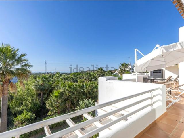 Piso, Casares