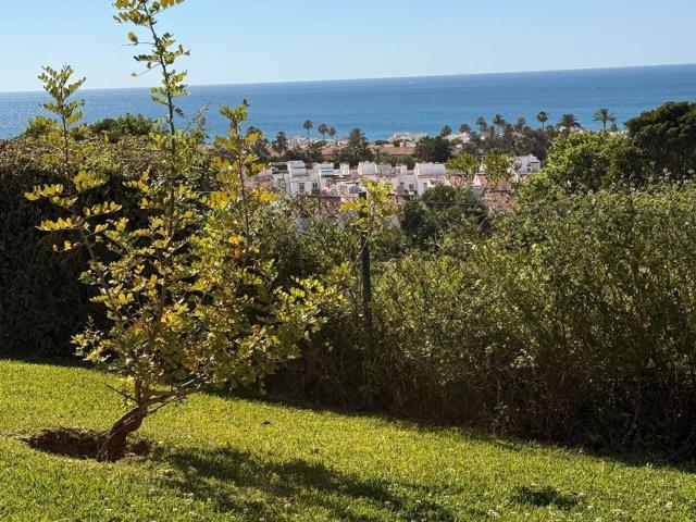 Piso, Casares