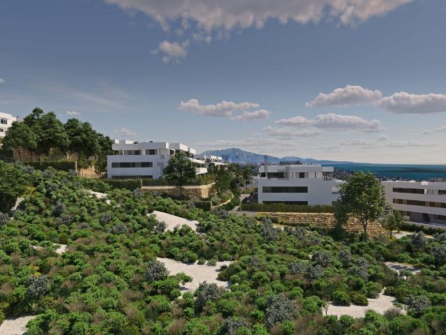 Piso, Casares