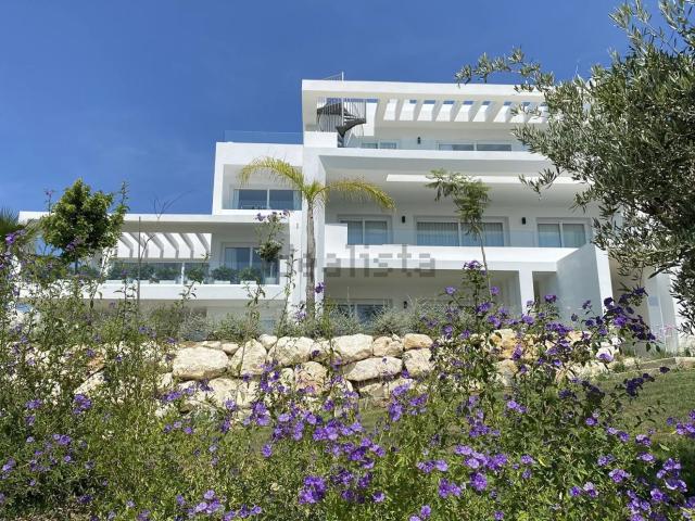 Piso, Casares
