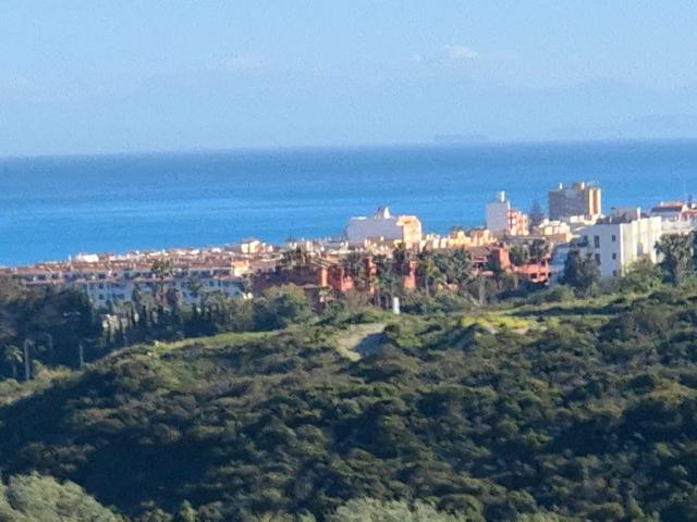 Piso, Casares