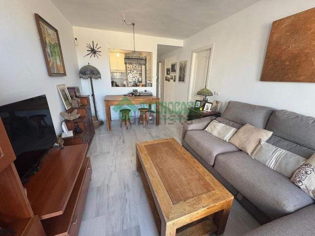 Piso, Casares