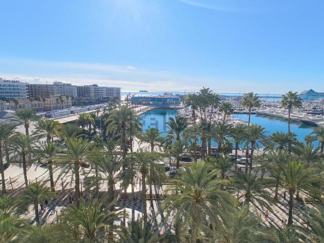Piso, Casco Histórico Santa Cruz, Alicante / Alacant