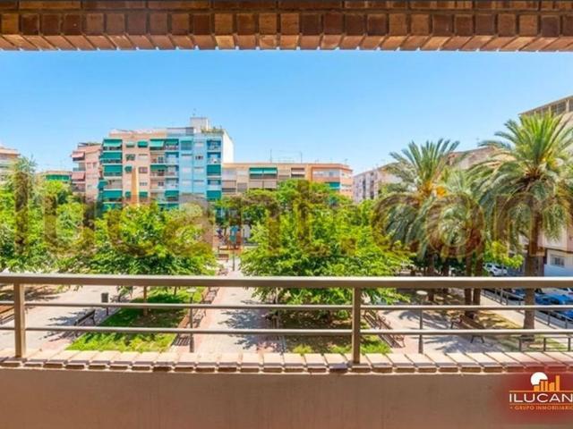 Piso, Carolinas Altas, Alicante / Alacant