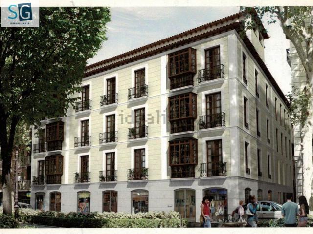 Piso, Carrera de la Virgen Paseo del Salón, Granada