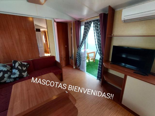 Piso, Cártama
