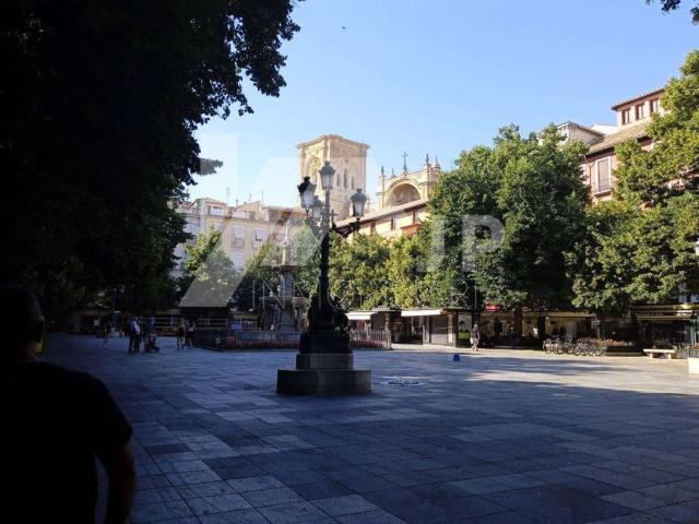 Piso, Catedral, Granada
