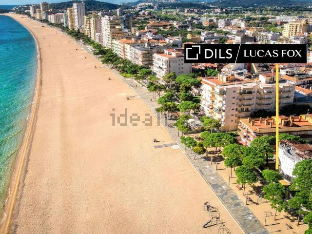 Piso, Cavall Bernat Cala Rovira, Castell Platja d&apos Aro