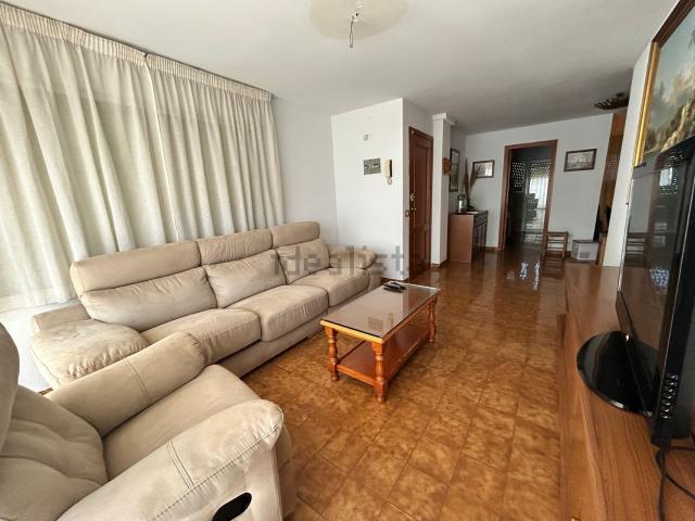 Piso, Cavall Bernat Cala Rovira, Castell Platja d&apos Aro