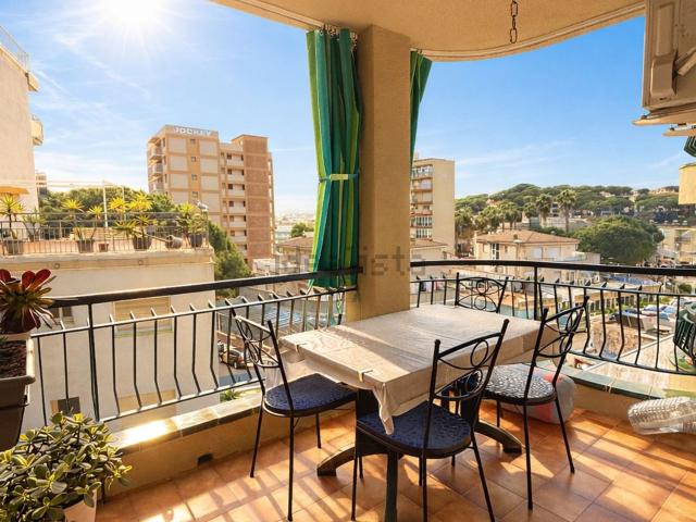 Piso, Cavall Bernat Cala Rovira, Castell Platja d&apos Aro