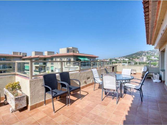 Piso, Cavall Bernat Cala Rovira, Castell Platja d&apos Aro