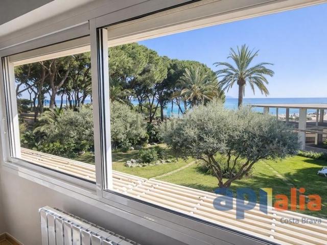 Piso, Cavall Bernat Cala Rovira, Castell Platja d&apos Aro