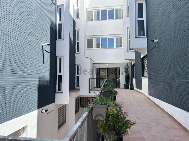 Piso, Cenes de la Vega