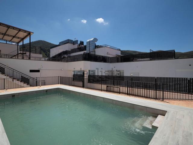 Piso, Cenes de la Vega