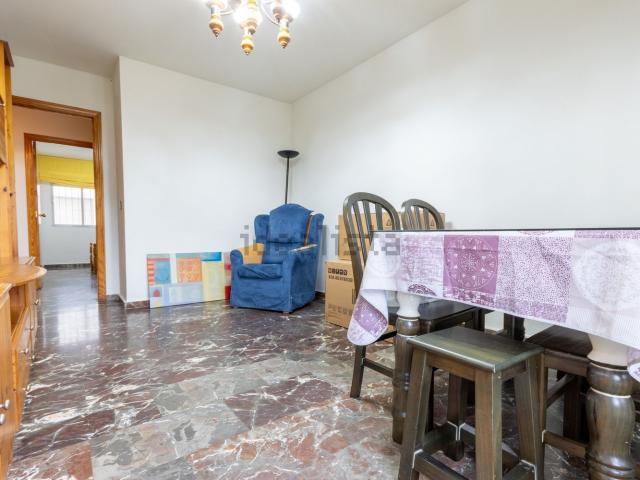 Piso, Cenes de la Vega