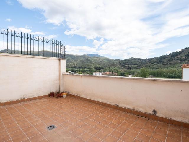 Piso, Cenes de la Vega
