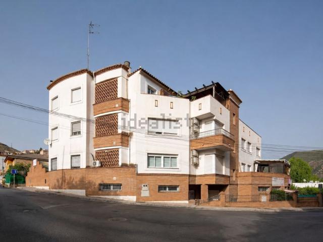 Piso, Cenes de la Vega