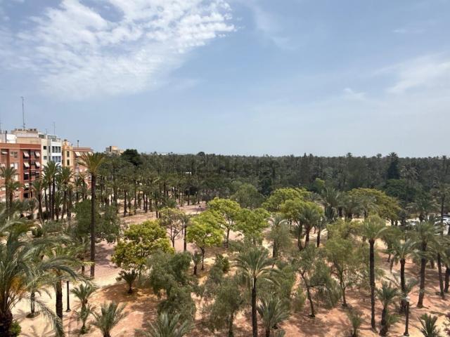 Piso, Centro, Elche / Elx