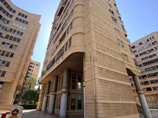Piso, Centro, Elche / Elx