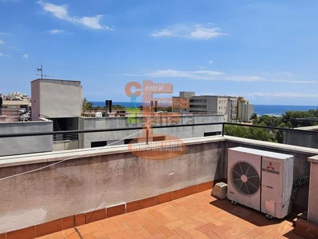 Piso, Centro, Mont Roig del Camp