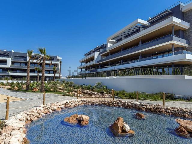 Piso, Centro Muelle Pesquero, Torrevieja