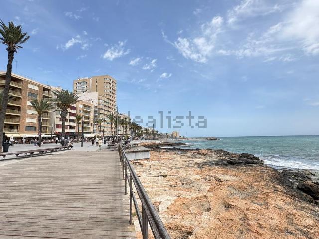 Piso, Centro Muelle Pesquero, Torrevieja
