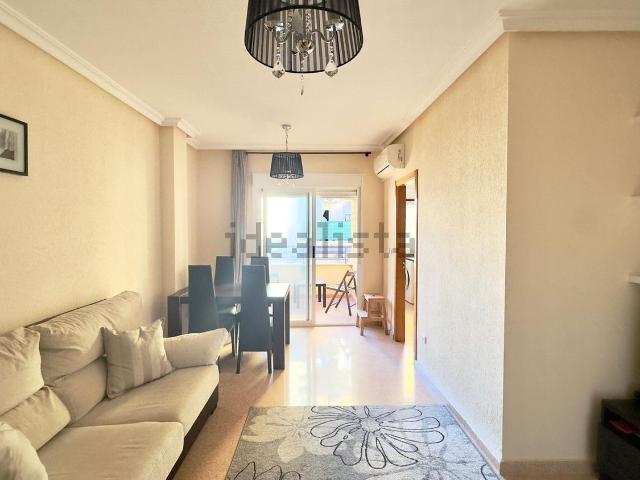 Piso, Centro Muelle Pesquero, Torrevieja