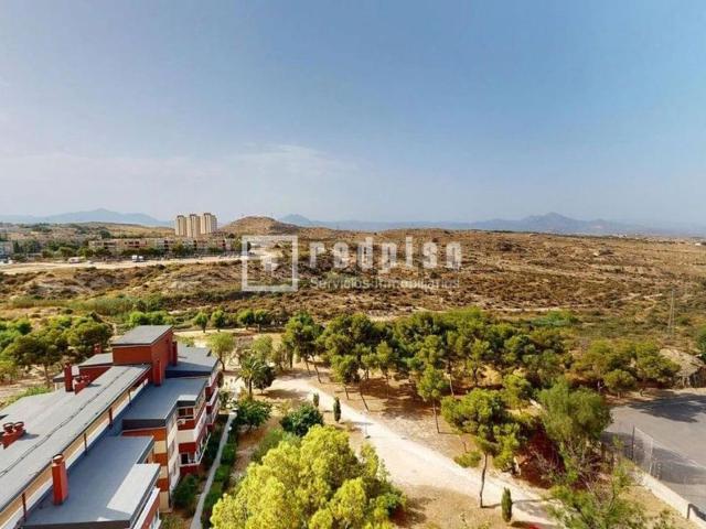 Piso, Ciudad Elegida, Alicante / Alacant