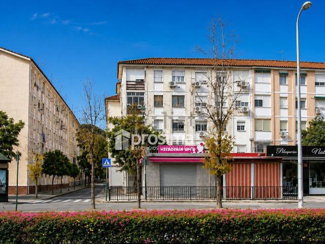 Piso, Ciudad Jardín, Málaga